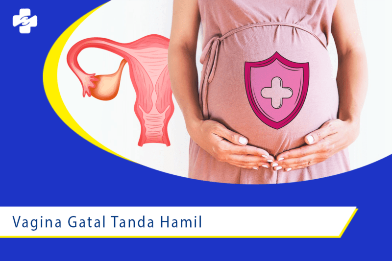 Benarkah Vagina Gatal Tanda Hamil Klinik Utama Sentosa