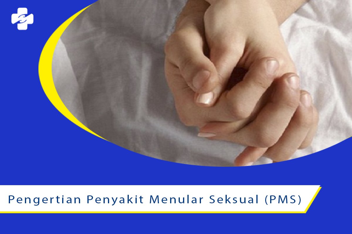 Pengertian Penyakit Menular Seksual Pms 