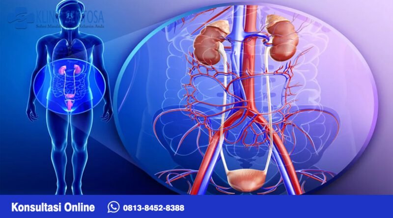 Uretritis Penyebab, Gejala, Pencegahan dan Pengobatan
