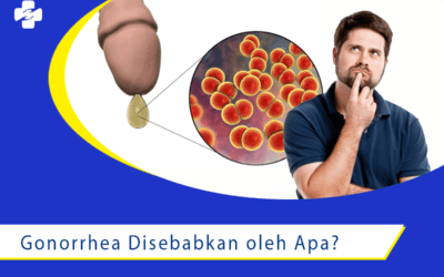 Penyebab dari Penyakit Gonorrhea