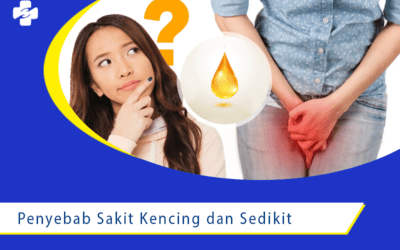 5 Macam Penyebab Sakit Kencing Serta Gejalanya