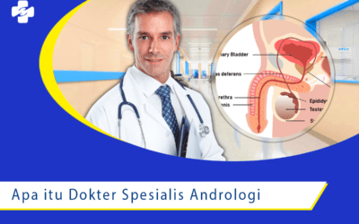 Peran Dokter Spesialis Andrologi itu Apa dan Penyakit yang Ditanganinya