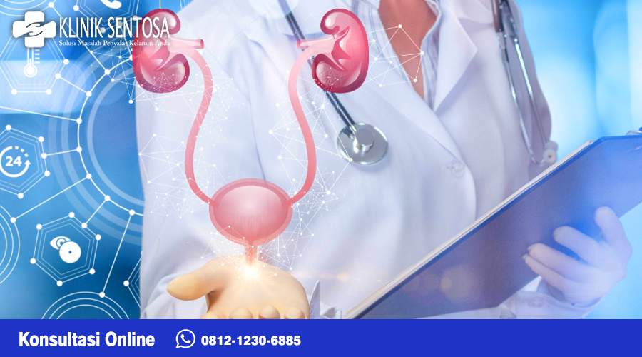 Seorang ahli medis ini juga melakukan perawatan kondisi yang melibatkan organ reproduksi dan juga kelenjar adrenal. Sistem reproduksipria dan wanita berkaitan erat dengan sisitem kemih.