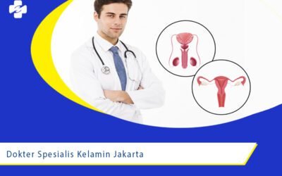 Dokter Spesialis Kelamin