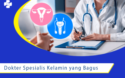 Dokter Spesialis Kelamin yang Bagus