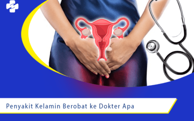 Penyakit Kelamin Berobat ke Dokter Apa 1 - Salin