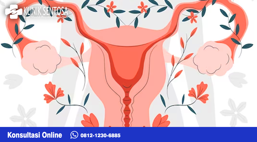 Vulvovaginitis merupakan infeksi pada permukaan luar vagina (vulva) dan juga Miss v. Peradangan ini bisa terjadi dalam berbagai tahapan usia pada wanita.