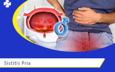 Sistitis Pria 1