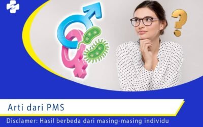Arti dari PMS 1
