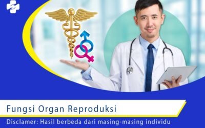 Fungsi Organ Reproduksi 1