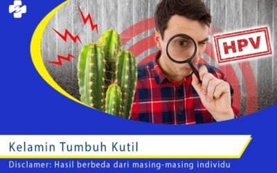 Kelamin Tumbuh Kutil 1