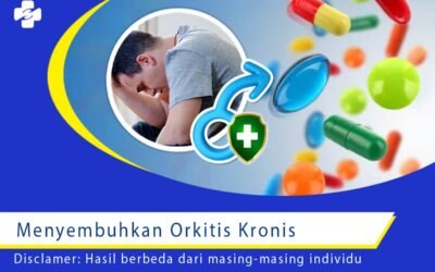 Menyembuhkan Orkitis Kronis 1