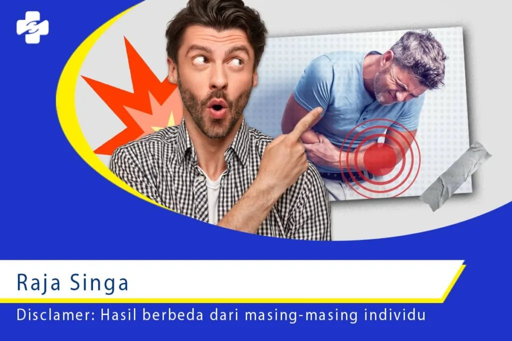 Raja Singa 1